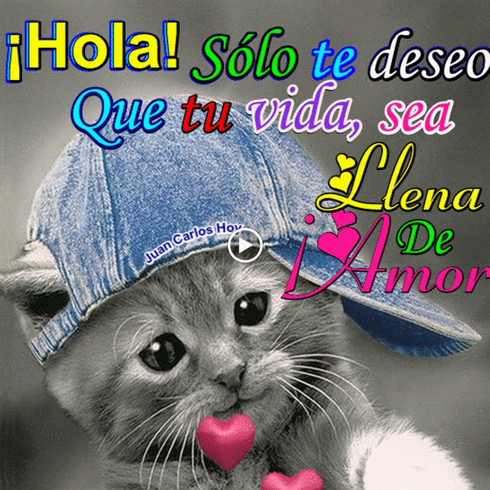 Meet your Posher, Araceli